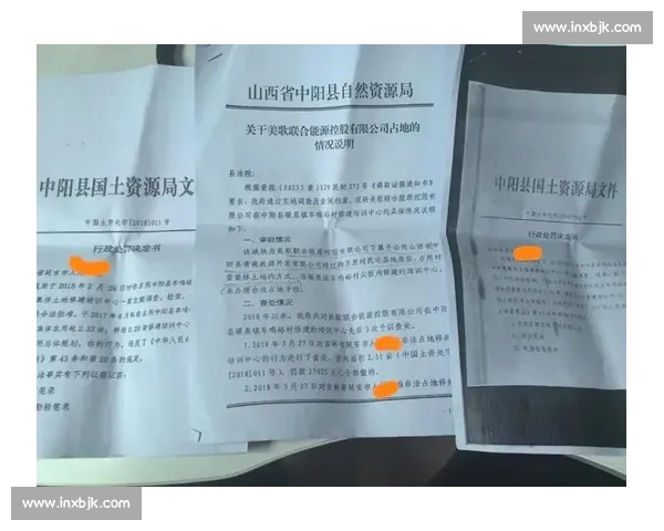某某案件行政处罚结果公开通报及责任追究和整改落实情况说明
